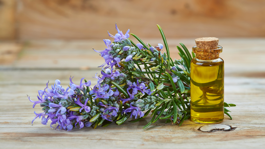 rosemary oil benefits