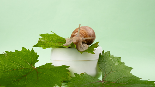 snail mucin